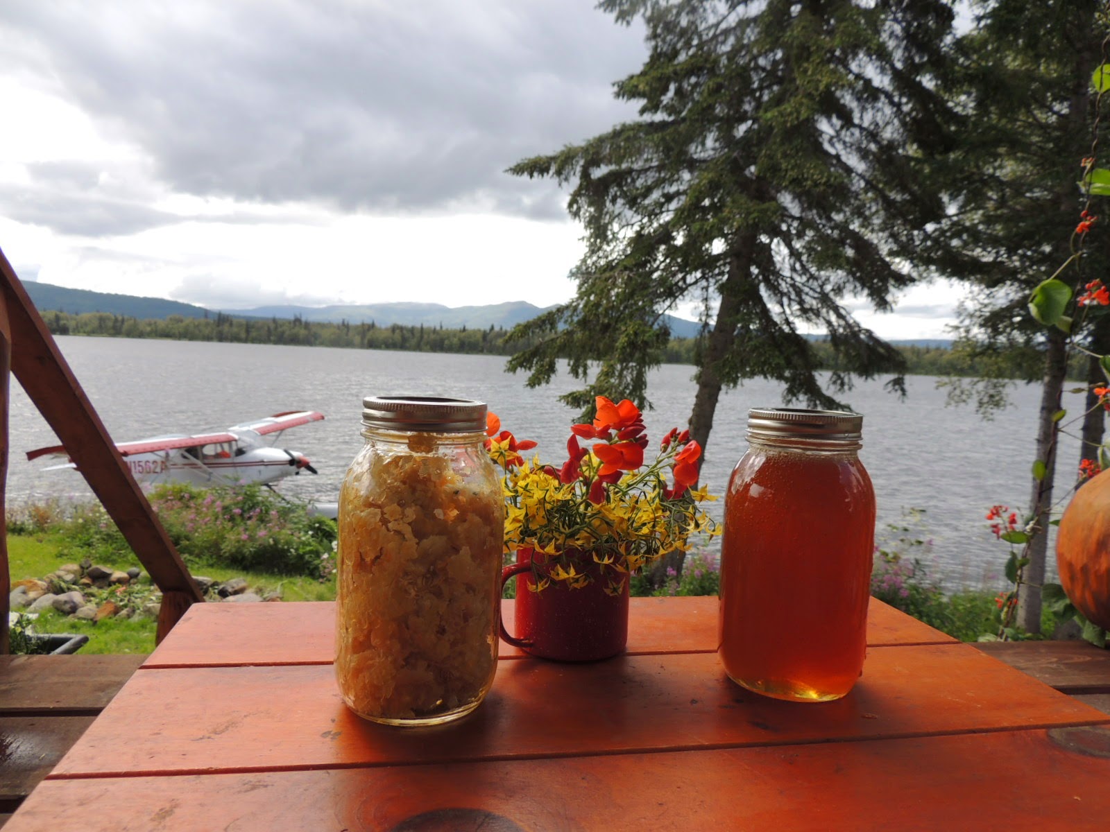 Alaska Bush Life, Off-Road, Off-Grid: Raising Honey Bees in Alaska ...