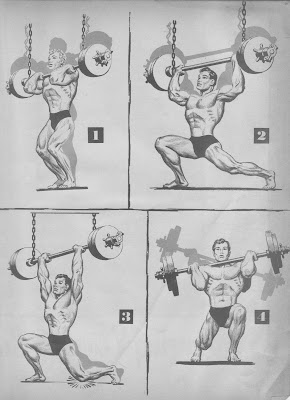 Why are pecs, hamstrings, and biceps far more prone to muscle tear when  weight training than triceps and shoulders? - Quora