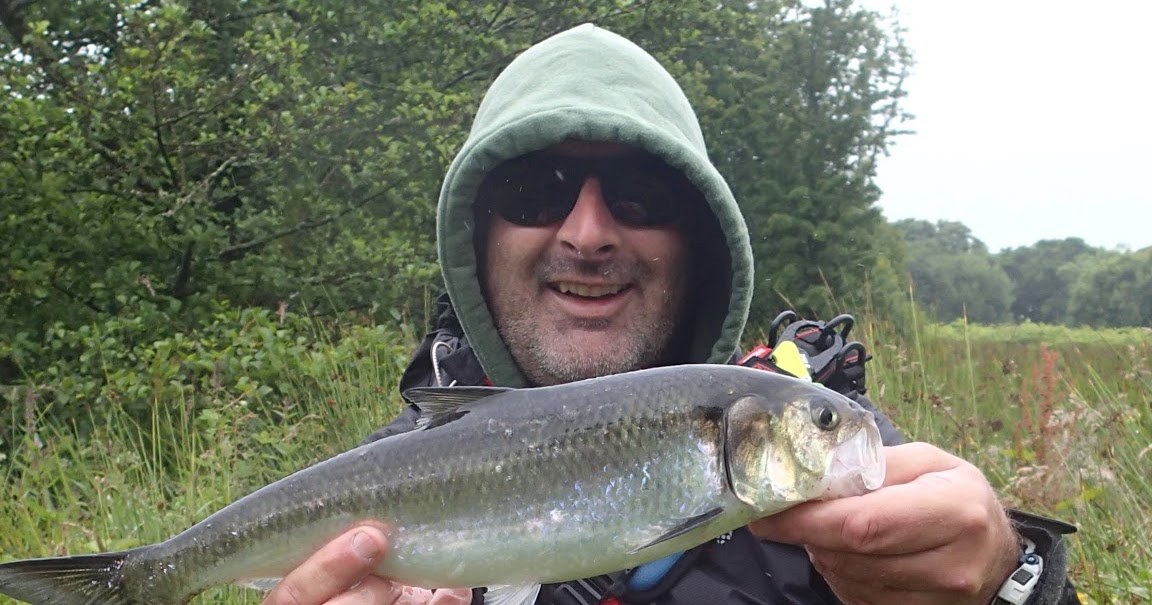 Lure and Light Game Decorating the Dwyfor!