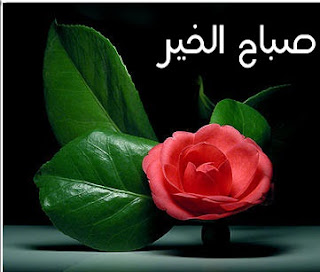 صور ورد صباح الخير , صباح الورد مكتوبة على صور , صباح الخير مع صور ورد