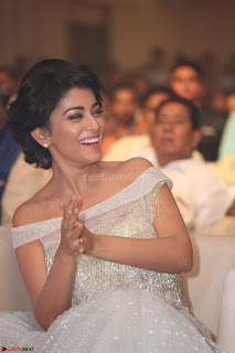 Shriya Saran in Stunning White Off Shoulder Gown at Nakshatram music launch ~  Exclusive (13)
