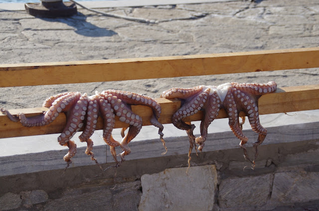 Octopus Paros Octopus Paros
