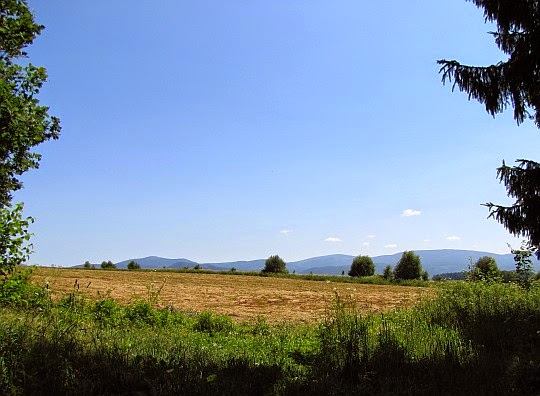 Pola i łąki między Długopolem-Zdrojem i drogą krajową nr 33. Na horyzoncie widoczne są już wzniesienia masywu Śnieżnika.