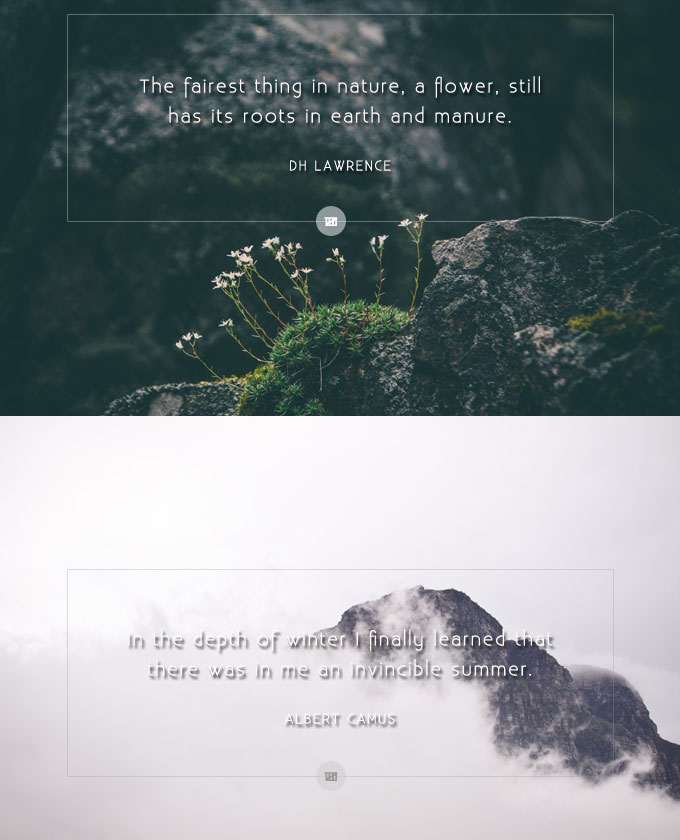 Quote Design Wailing of a Mountain Man Lost in a Concrete Jungle