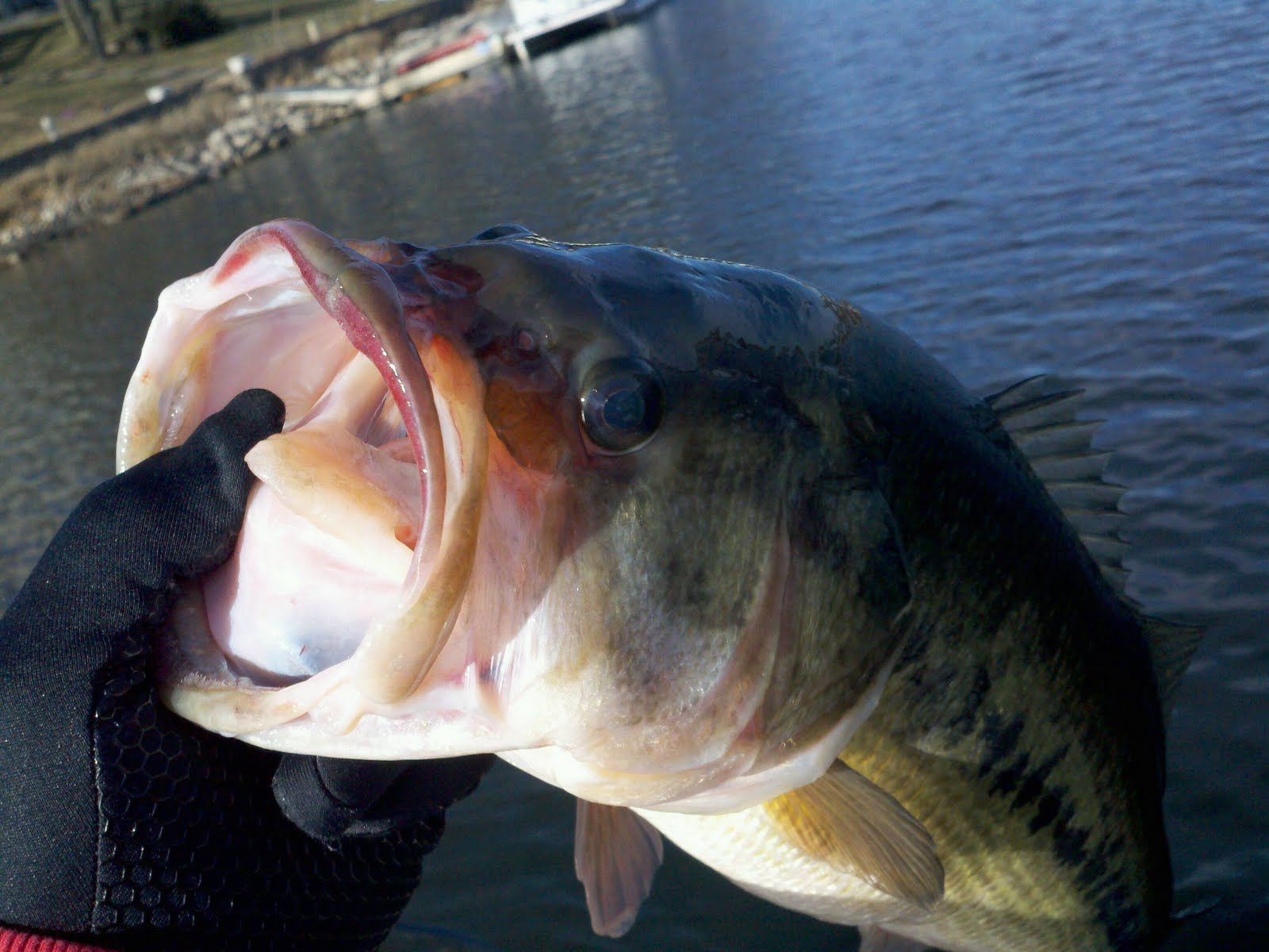 Weatherby Lake Fishing 2011