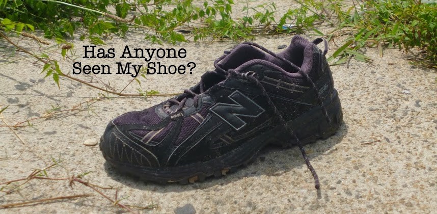 Has Anyone Seen My Shoe?