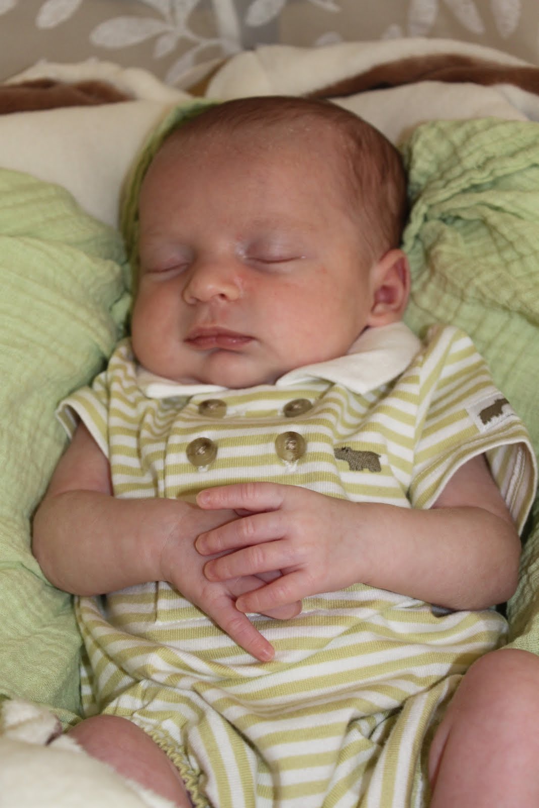 Max is Having a Heart Time: 1 Month Old and More Drama