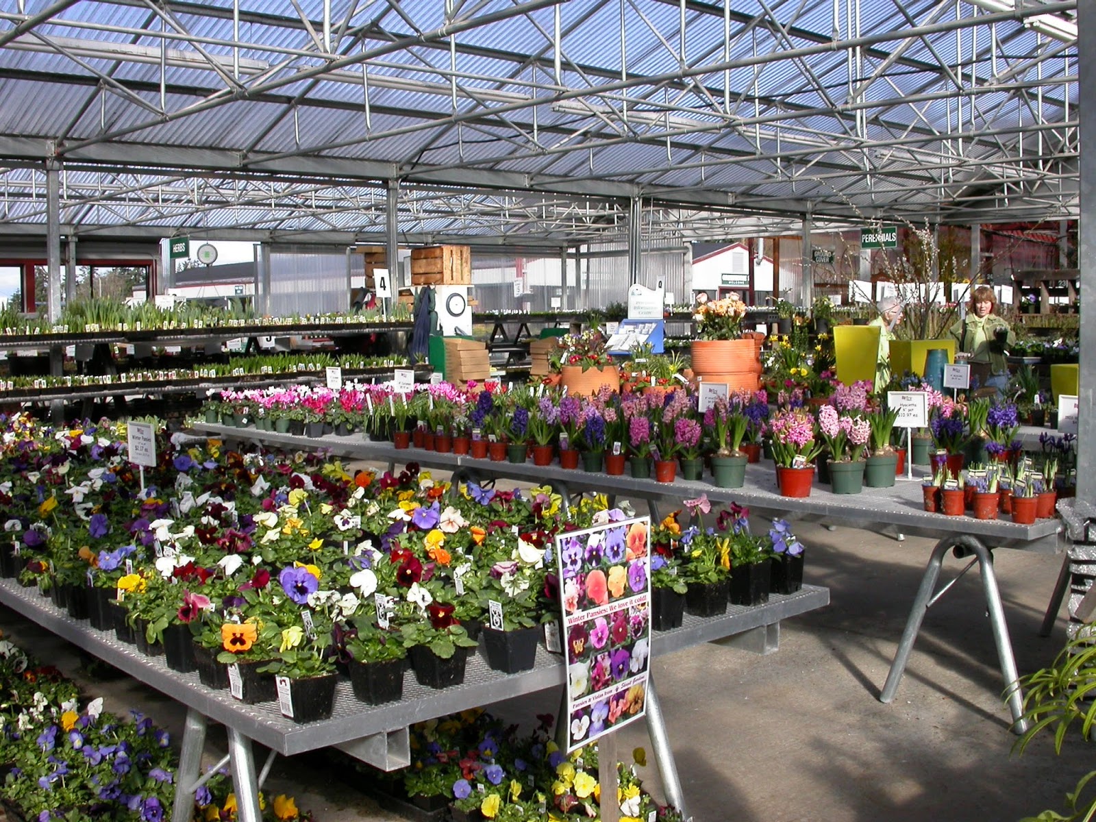 Wsda Agbriefs Outreach Campaign To Show Value Of Nursery Endort Wsda Plant Services Will Be Ramping Up Awareness Of Licensing Requirements And Benefits Through Emails Postings On Social Media Speaking At Nursery