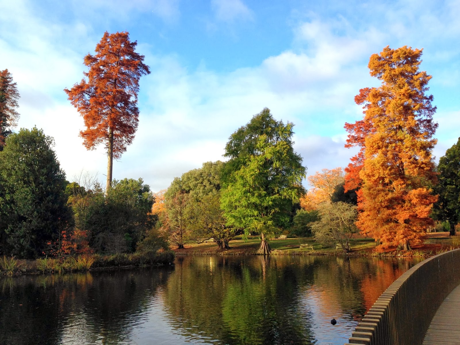 Lisa Autumn Kew Gardens