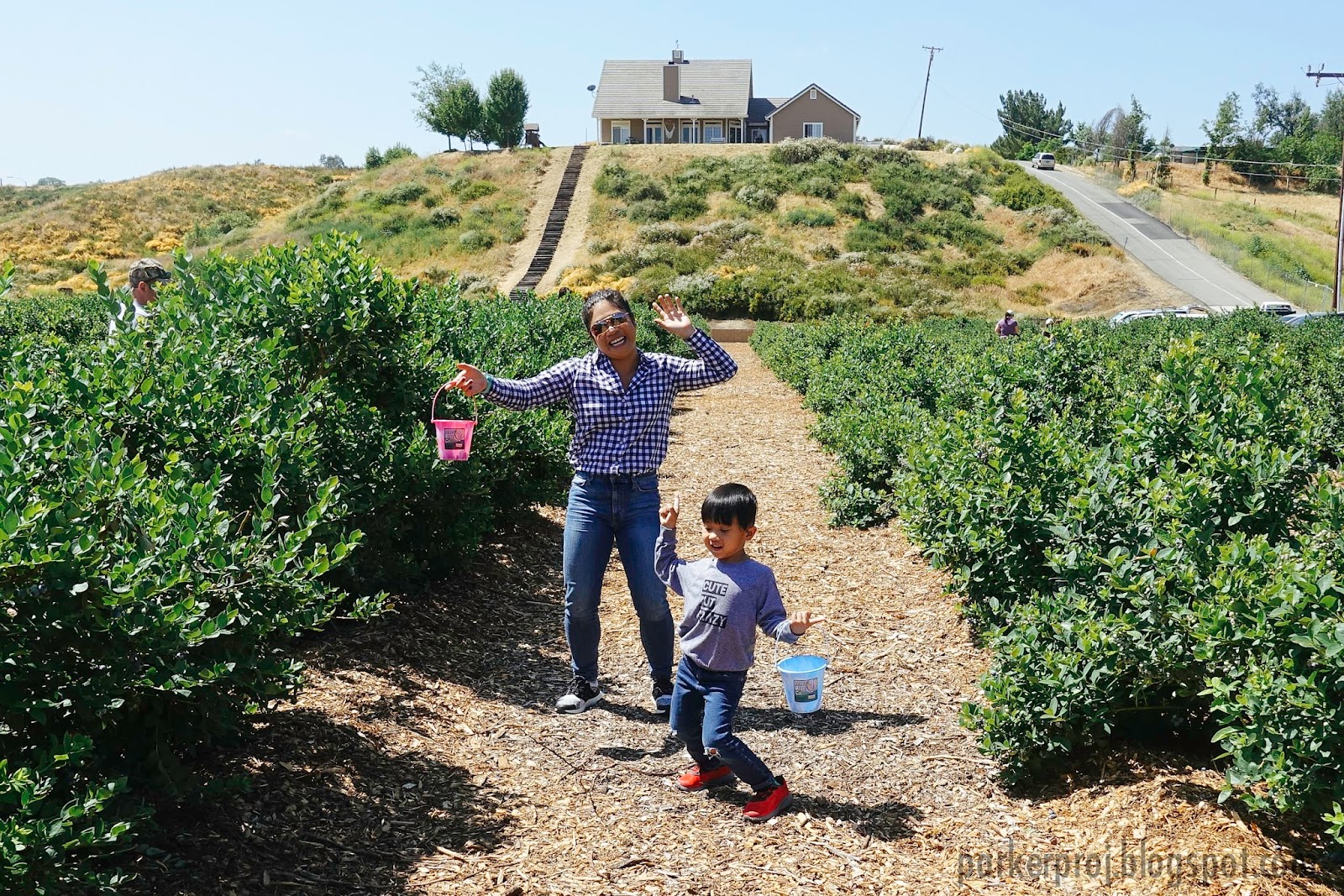 The Parker Project Blueberry Picking at the Temecula Berry Co