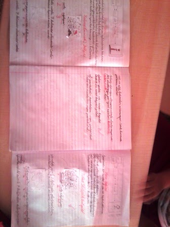 Sinifim Egitim (İlkokul Etkinlikleri): Kelime (Sözcük) Bilgisi