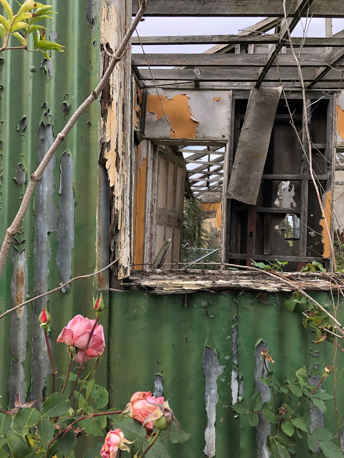 Abandoned and Derelict | Wells Fireworks Factory | Dartford