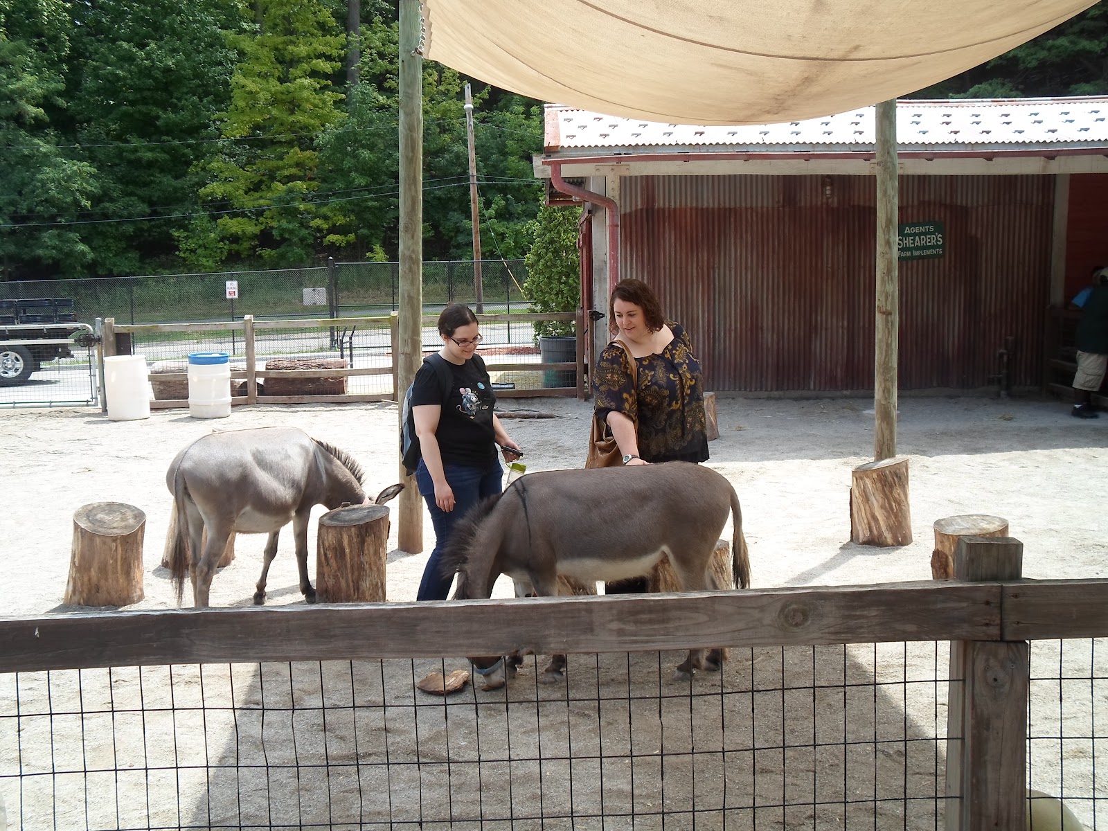 The Adventures of in Cleveland The Cleveland Zoo