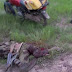 Boko Haram Attacks Nigerian Soldiers In Borno...Killed 17