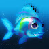 Fish HD Wallpaper Find best latest Fish HD Wallpaper for desktop background ,photos hd,imageand picks exa.