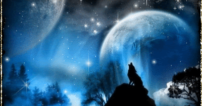 Wolfmoon Wolfmoon