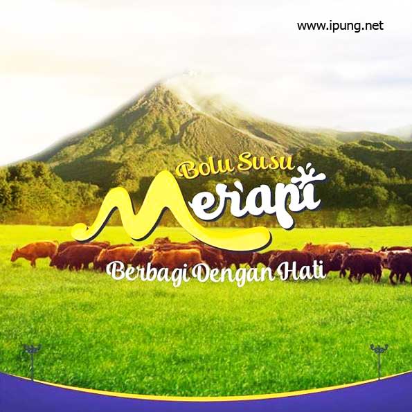 Maem Bolu Susu Merapi, Solusi Penganti Minum Susu. Bikin Kenyang dan Bergizi Penuh Nutrisi Maem Bolu Susu Merapi, Solusi Penganti Minum Susu. Bikin Kenyang dan Bergizi Penuh Nutrisi