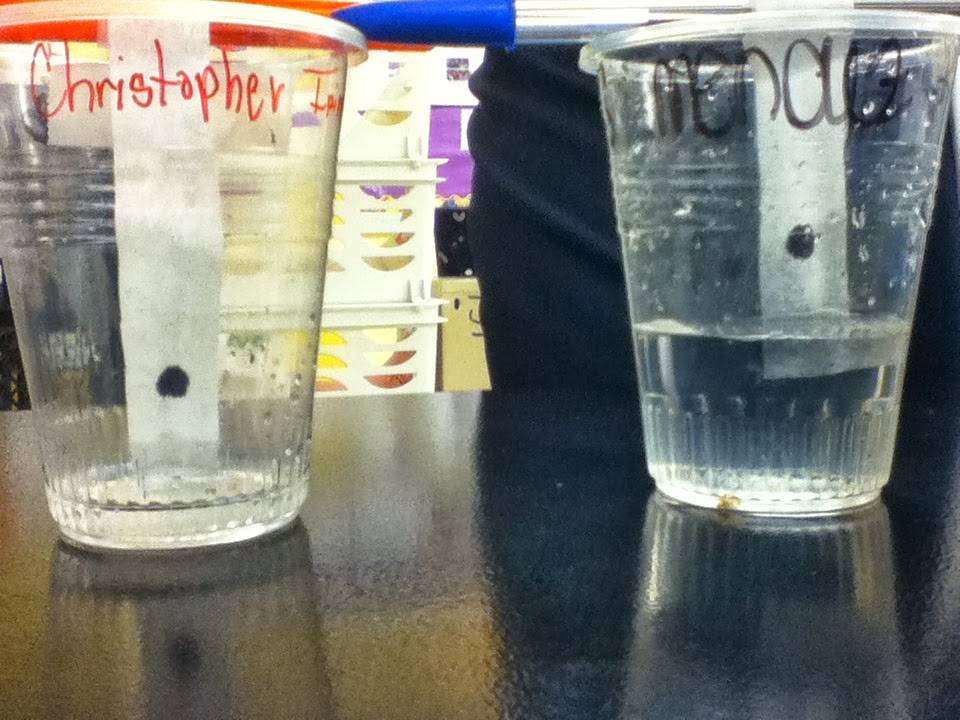 Paper Chromatography Lab 1