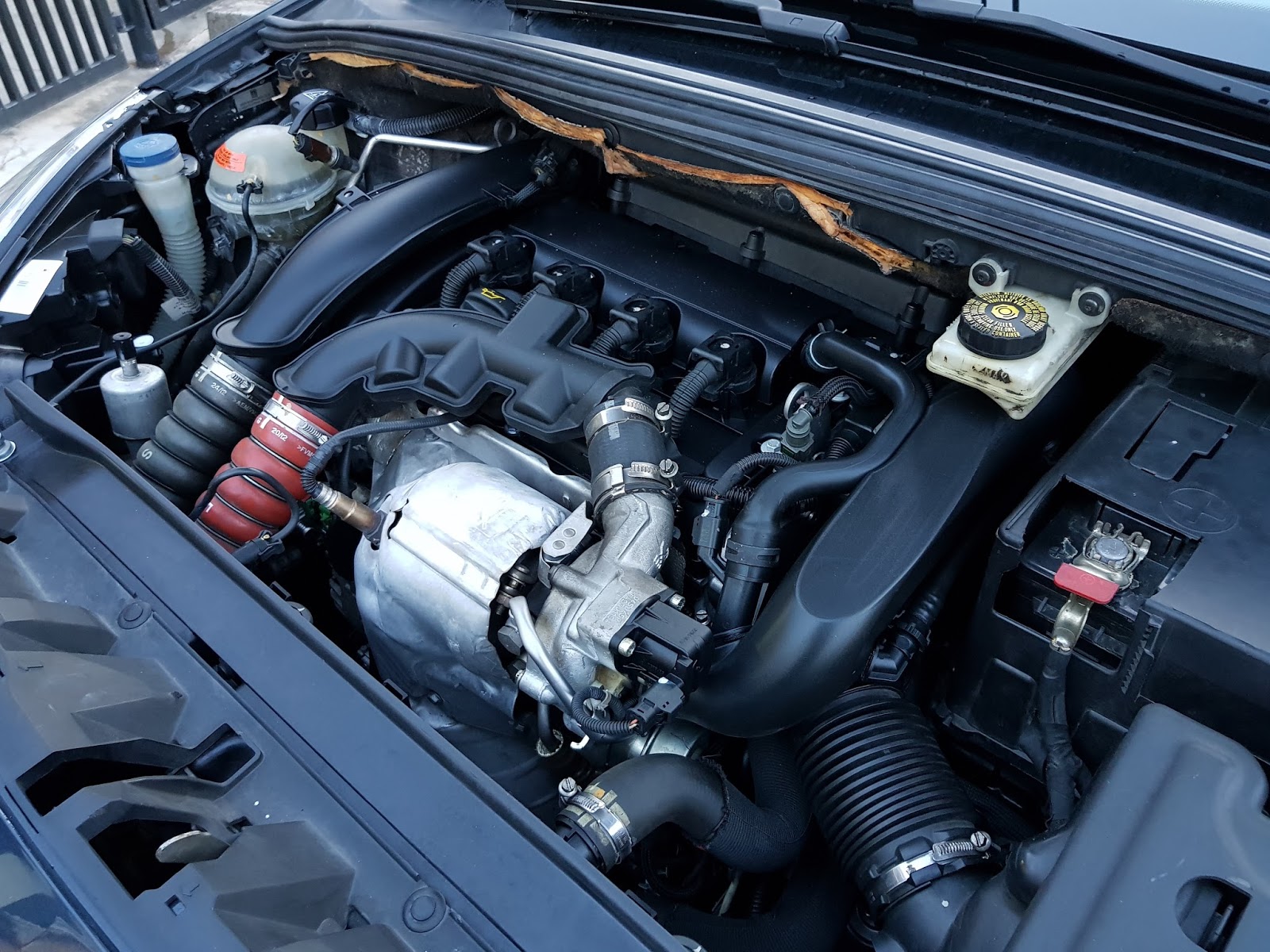 P1090733 Paul Tan's Automotive News