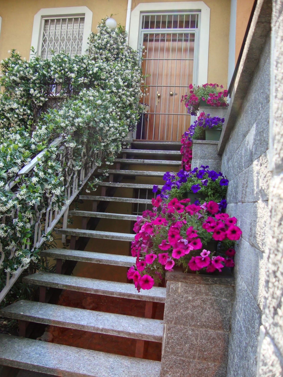 Un piccolo giardino in città : fiori e piante sulle scale di cittÃ