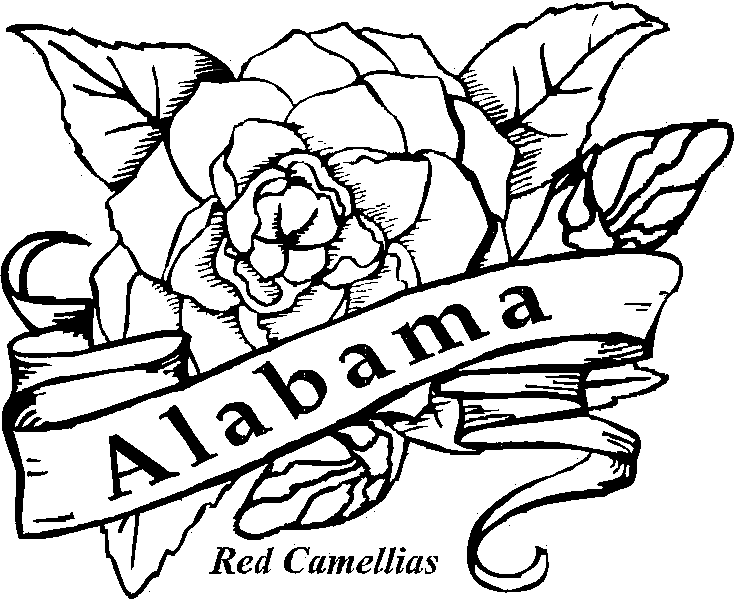 oklahoma state flower coloring pages - photo #14