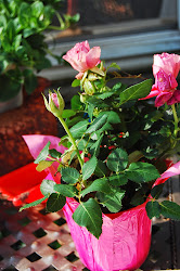 should paint watercolors cathy paintings