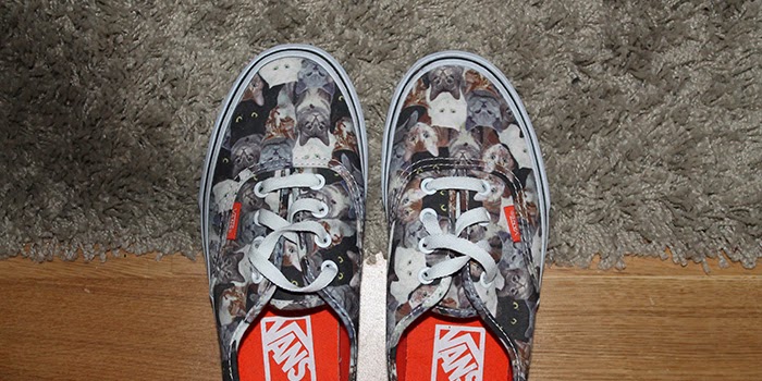 Cat Vans Cat Vans