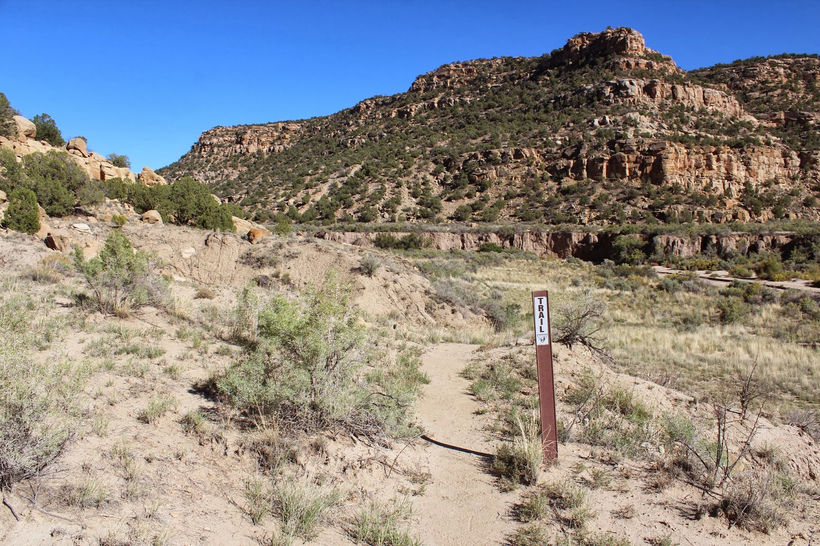 Crow Canyon 44 Panel