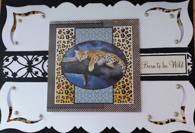 Born to be Wild - Leopard on branch (Pollyanna Pickering) C5 fancy edged card Born to be Wild - Leopard on branch (Pollyanna Pickering) C5 fancy edged card