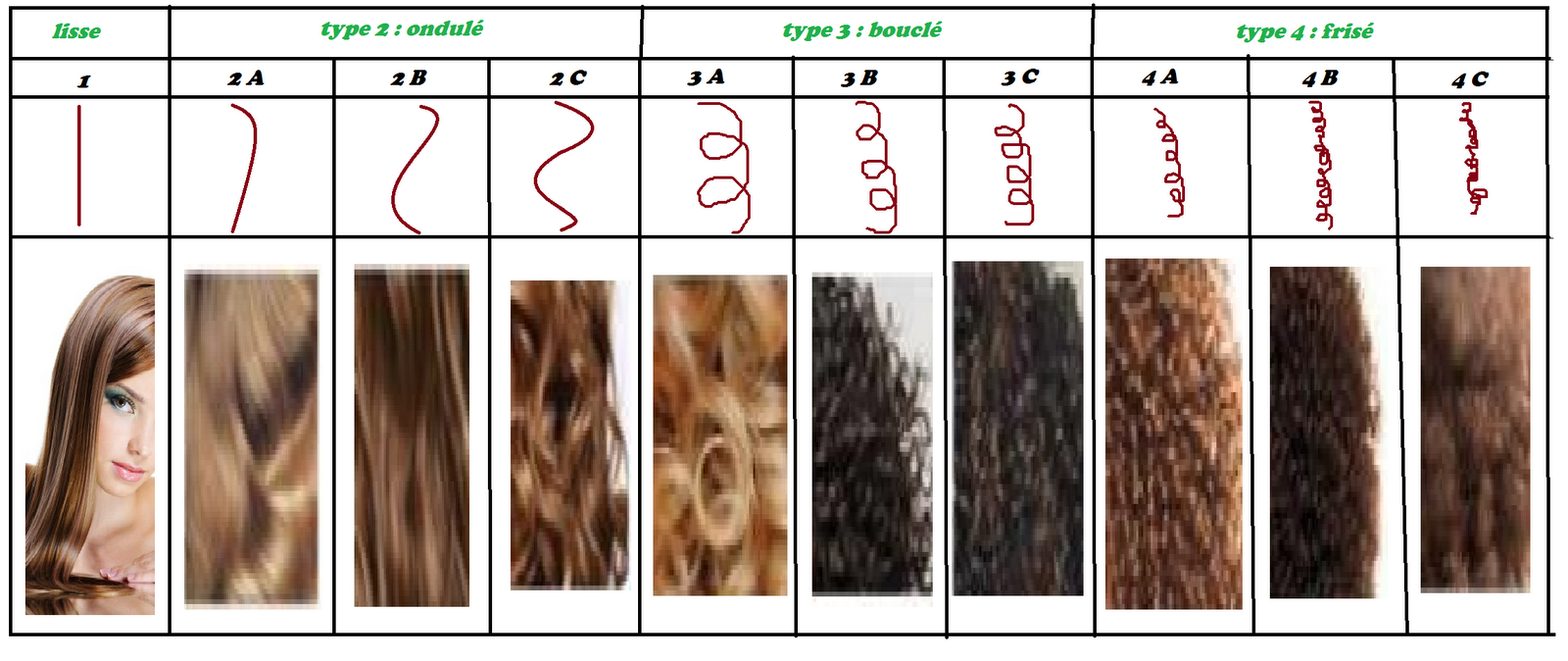 Волосы 1 группы. Типы волос. Типы структуры волос. Типы волос и структура волоса. Нормальные волосы.