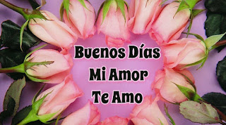 Imagenes De Rosas Con Buenos Dias Imagenes De Rosas Con Buenos Dias