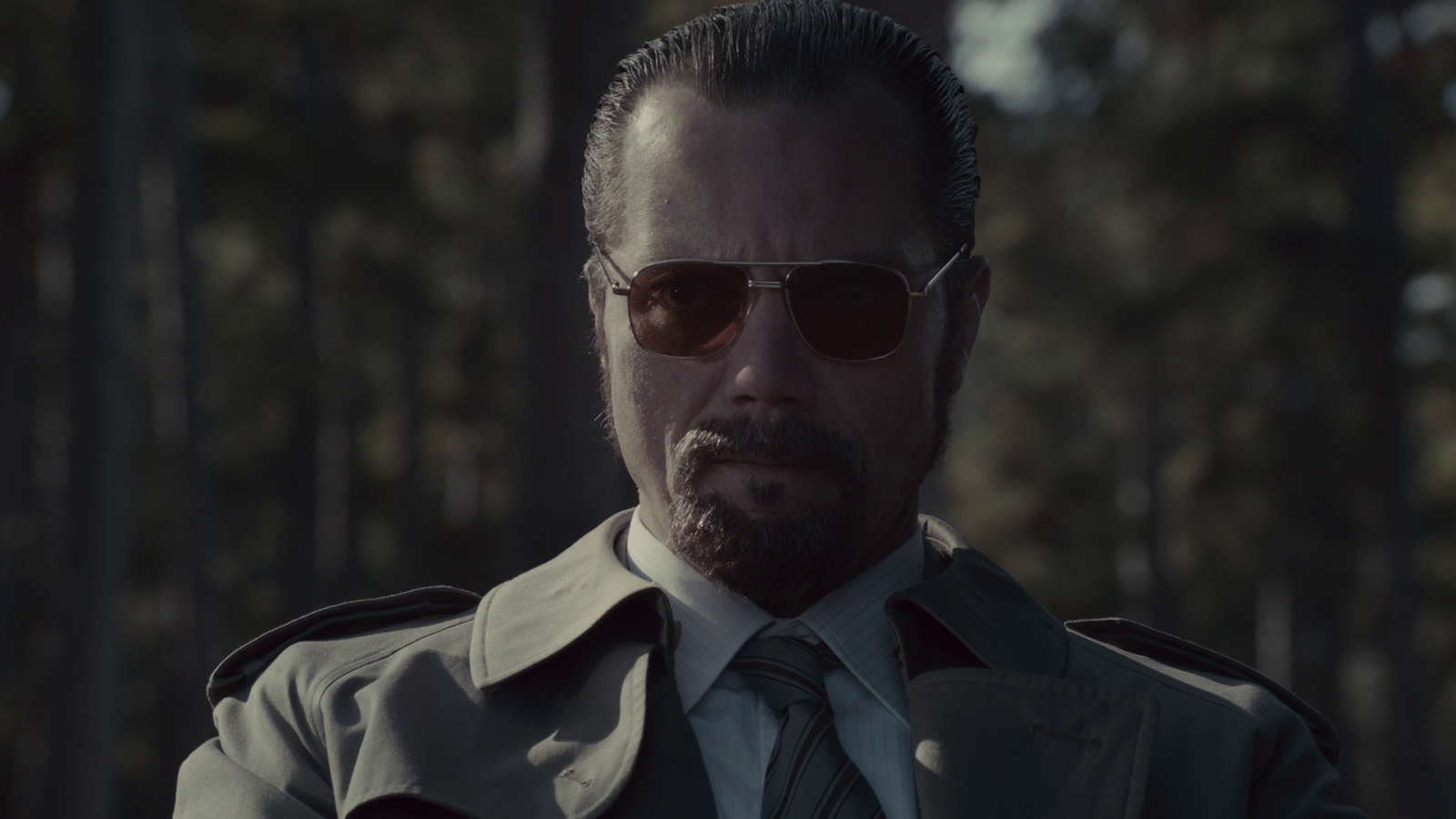 The Iceman (2012) The Ordinary Review