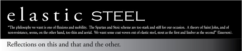 Elastic Steel
