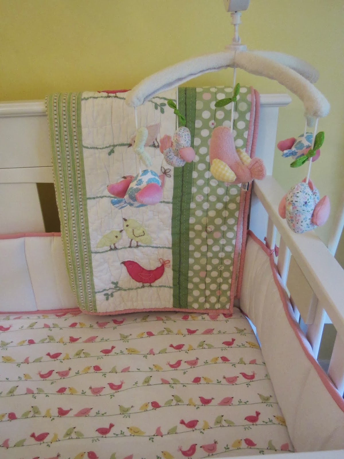 Ackerman Antics Nursery Update