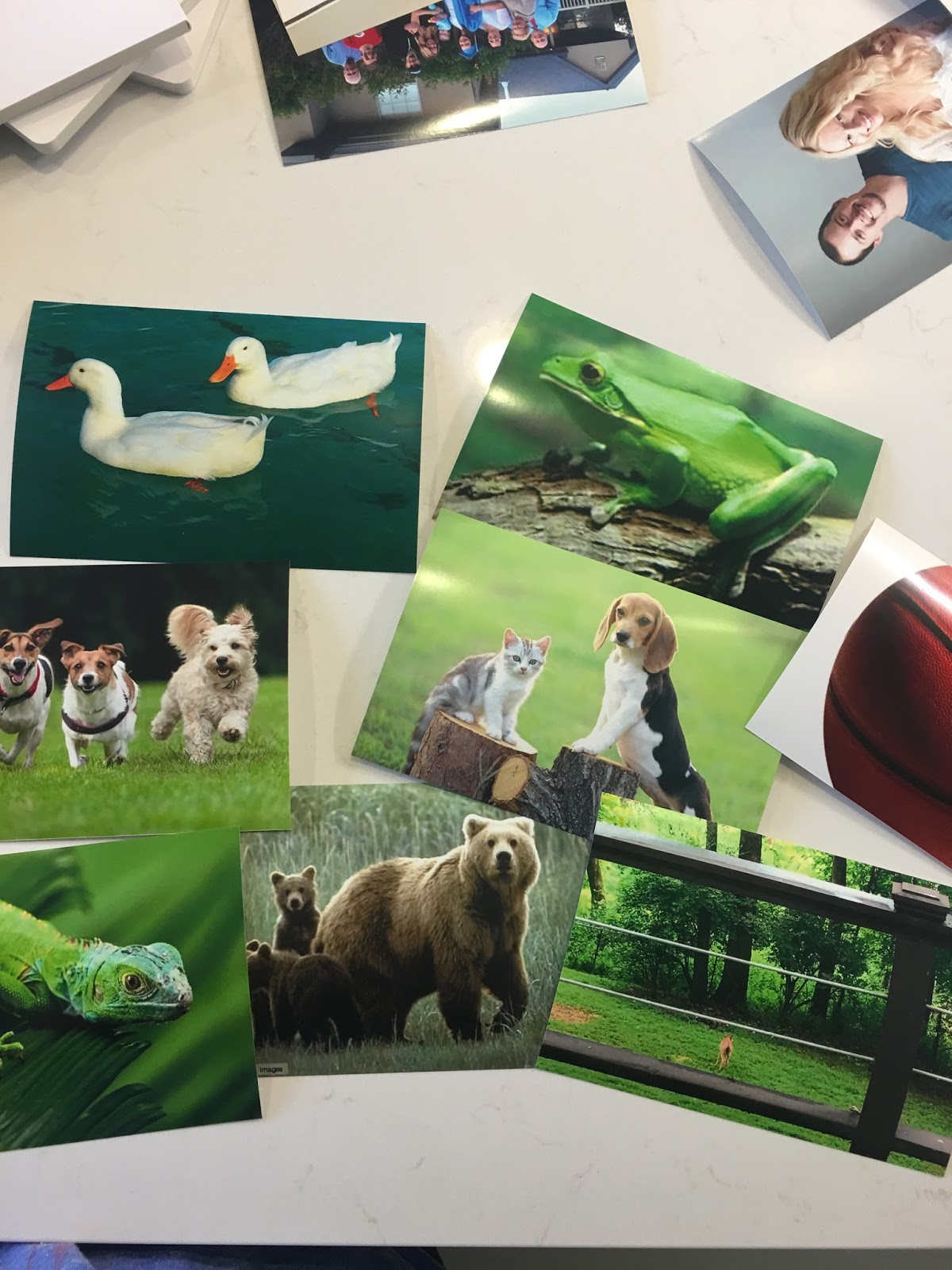 How To Create A Personalized Baby Photo Book LiveLoveDIY Bloglovin’