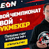 Фирменный мяч Leon