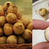 The Amazing Health Benefits of Lanzones that can improve overall Health most people do not know