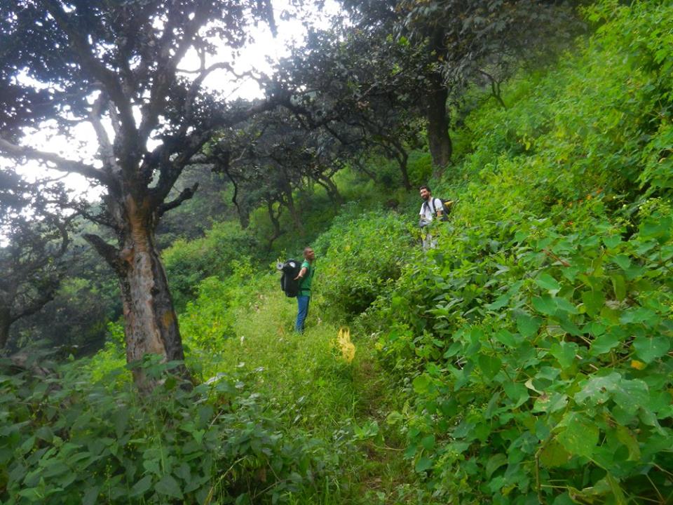 COMANDO ECOLOGICO PERU GLOBAL BIG DAY 2017 BOSQUE DE ZARATE