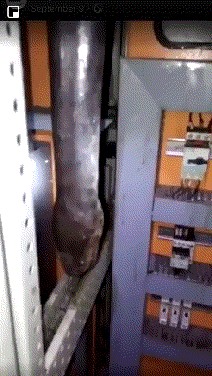 154600532019969708.gif