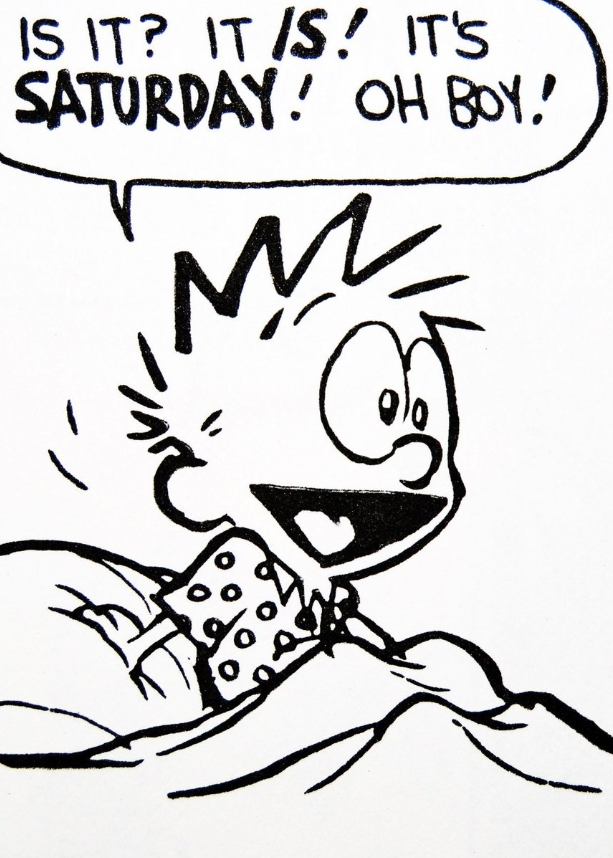calvinsabado.png (613Ã858)