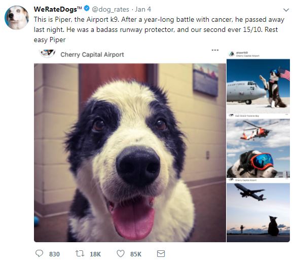 We Rate Dogs, Psychometrics, and Operationalization.