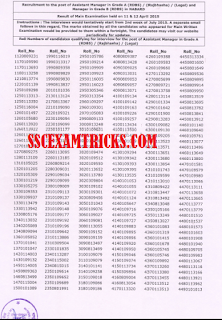 NABARD AM Main Exam Result 2015