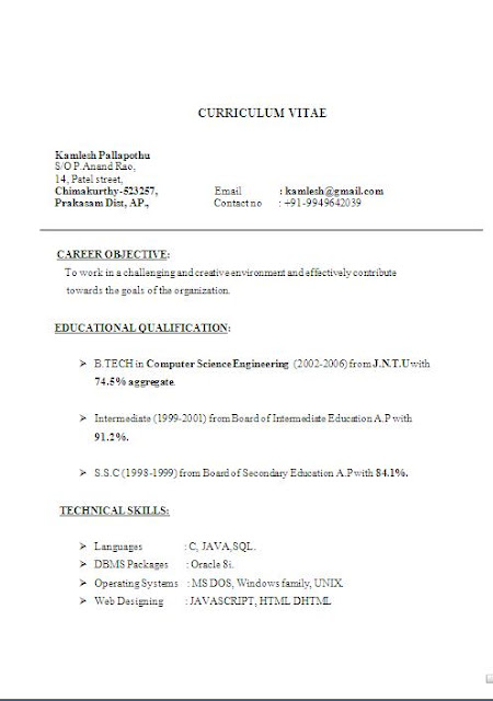 short resume example
