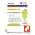 Examen Diagnostico 4to grado primaria