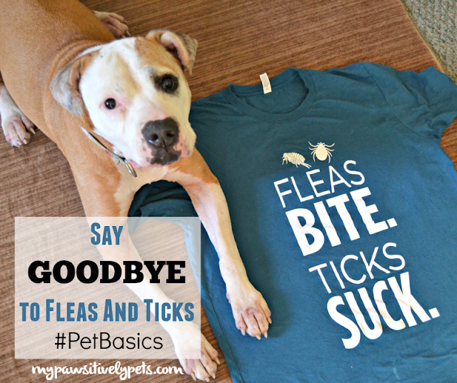 Can A Flea And Tick Collar Make A Dog Sick Can A Flea And Tick Collar Make A Dog Sick