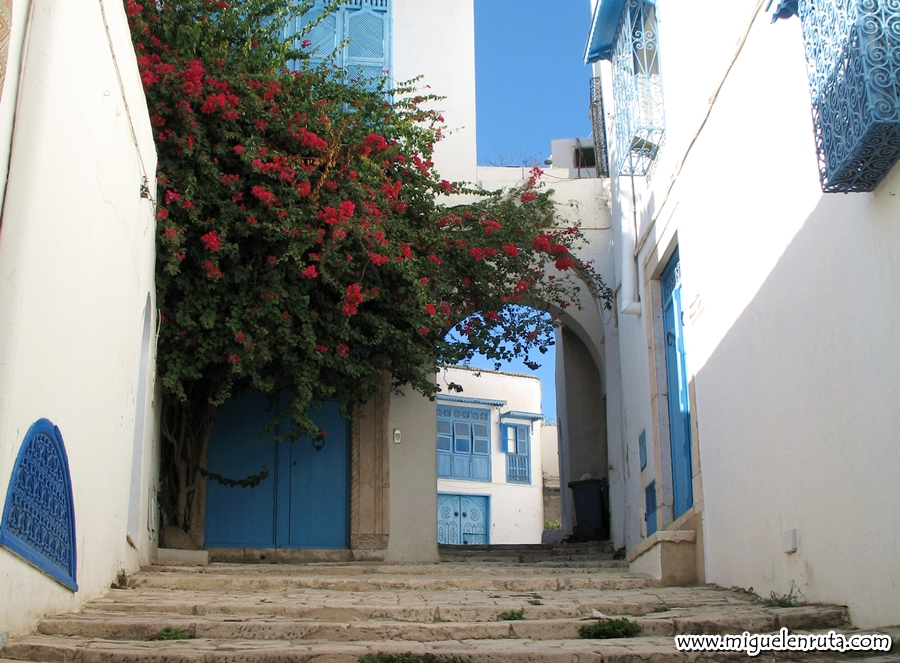 Sidi Bou Said