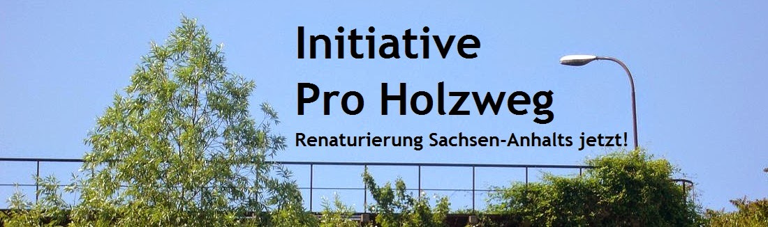                Initiative Pro Holzweg