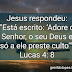 Jesus respondeu: Está escrito: Adore o Senhor, o seu Deus e só a ele preste culto.(Lucas 4:8)