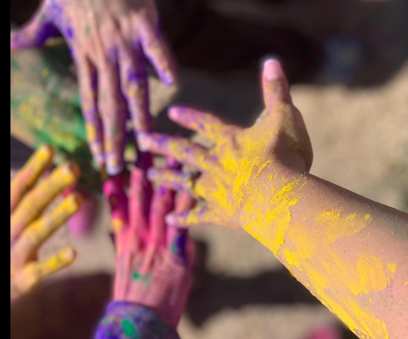 sewa holi atlanta 2025