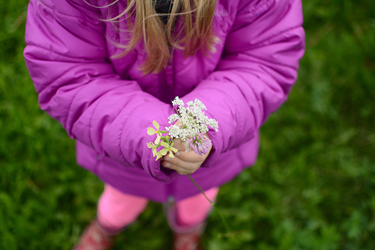 Fall Bucket List: Apple Picking | My Darling Days Fall Bucket List: Apple Picking | My Darling Days